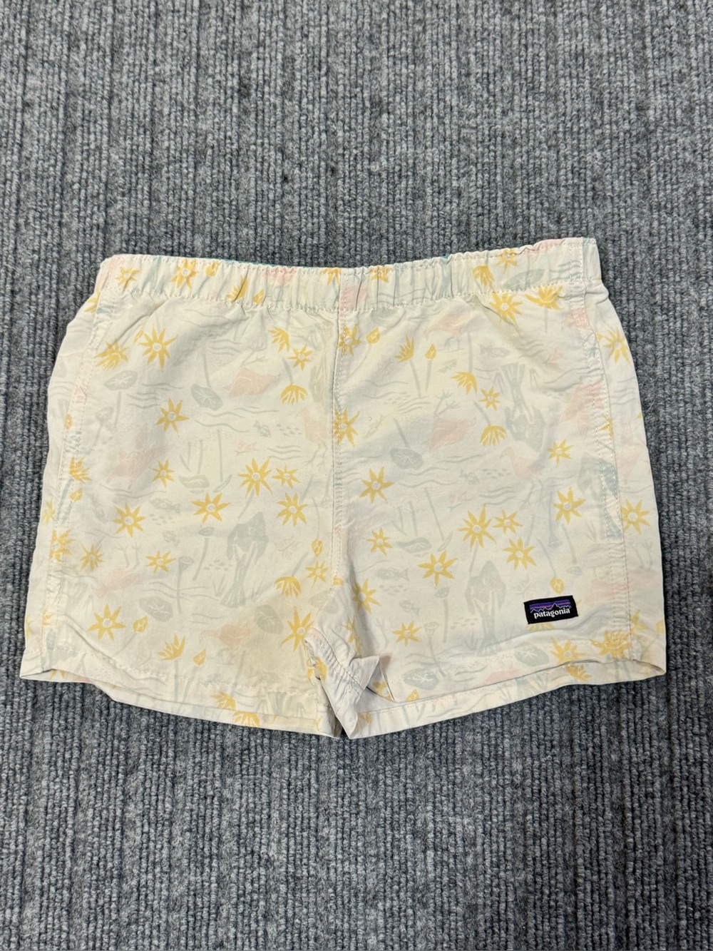 Patagonia Shorts 2T